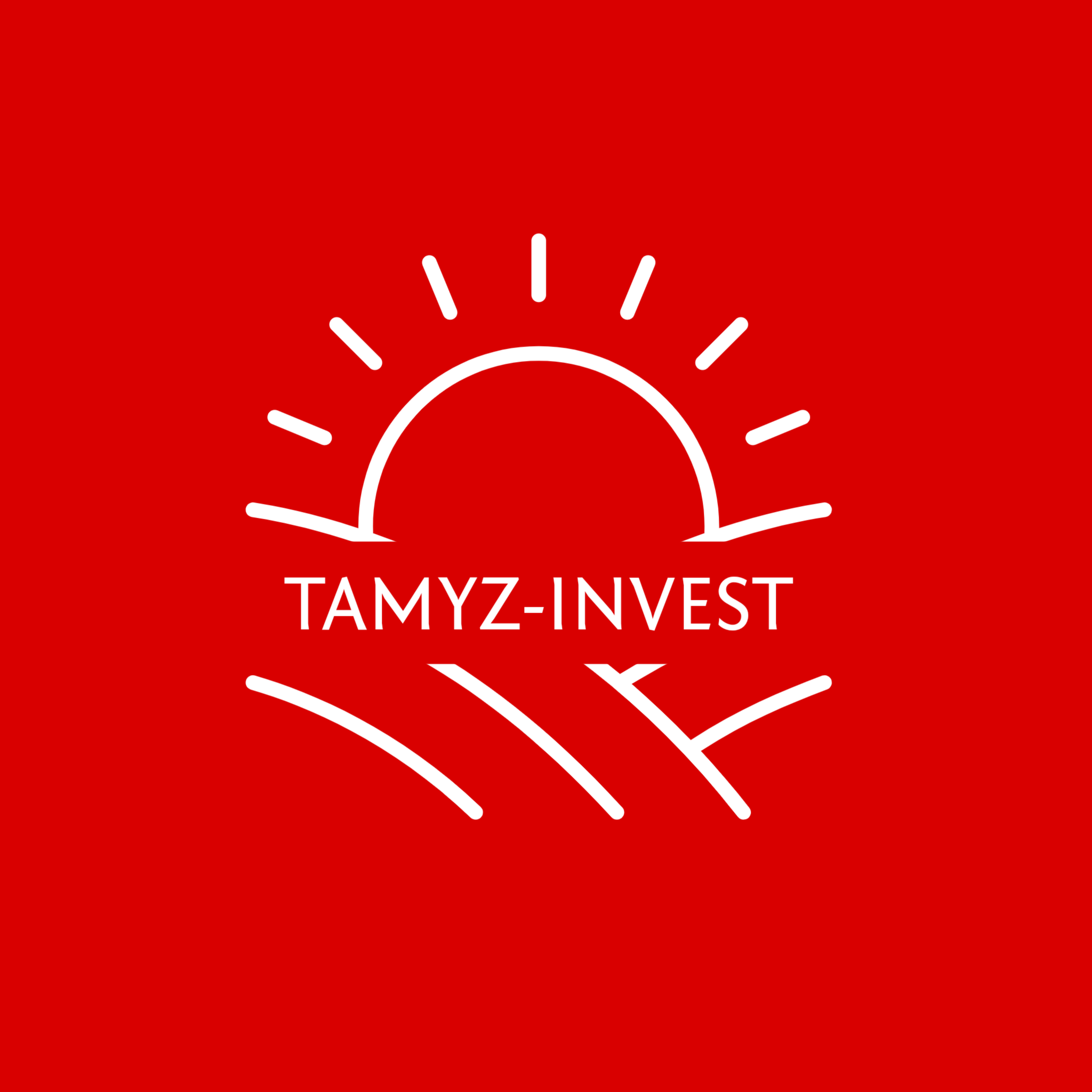 Логотип Tamiz Invest